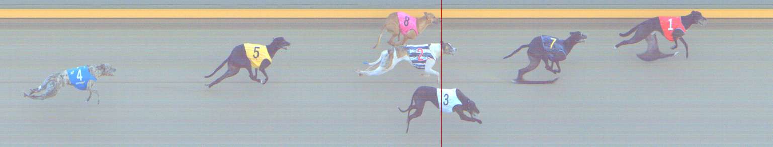 Photo finish for Shepparton Race 13
