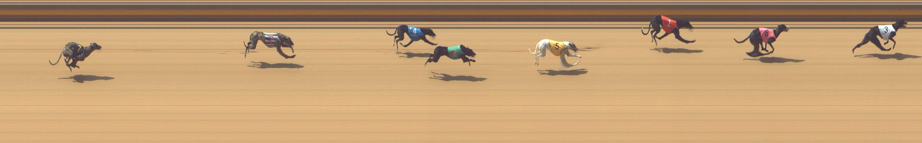 Photo finish for Shepparton Race 1