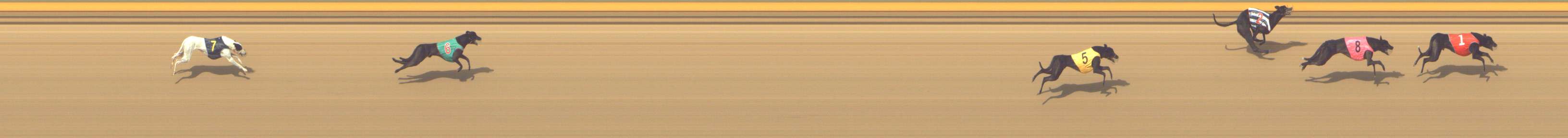 Photo finish for Shepparton Race 10