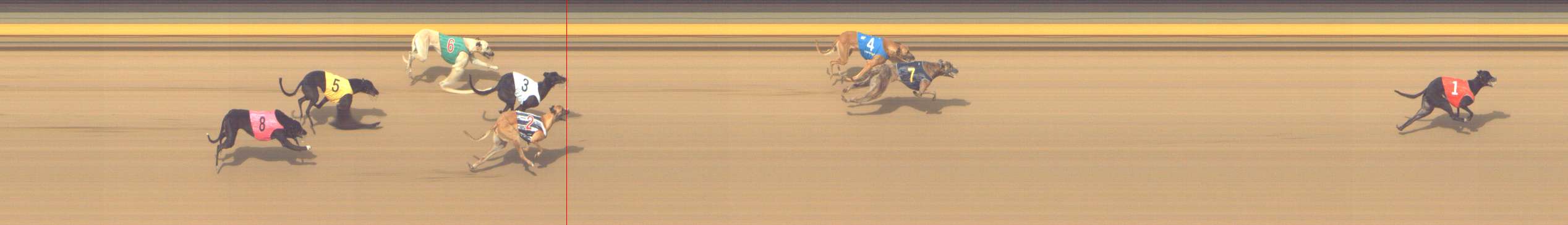 Photo finish for Shepparton Race 11
