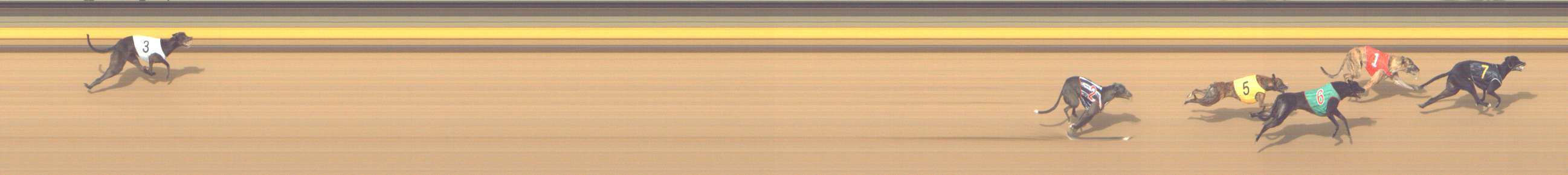 Photo finish for Shepparton Race 12
