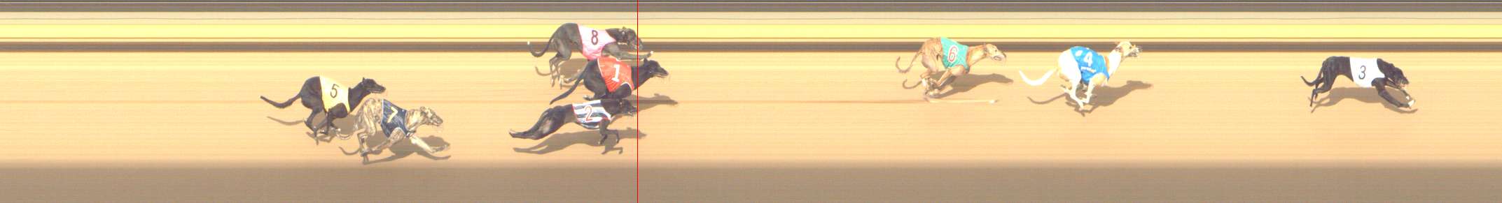 Photo finish for Shepparton Race 13