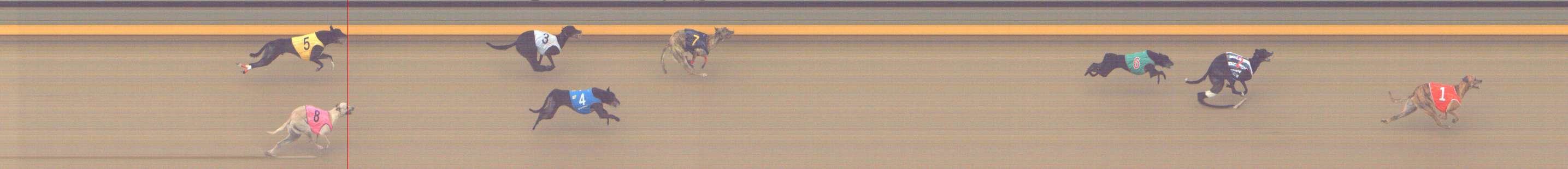 Photo finish for Shepparton Race 14