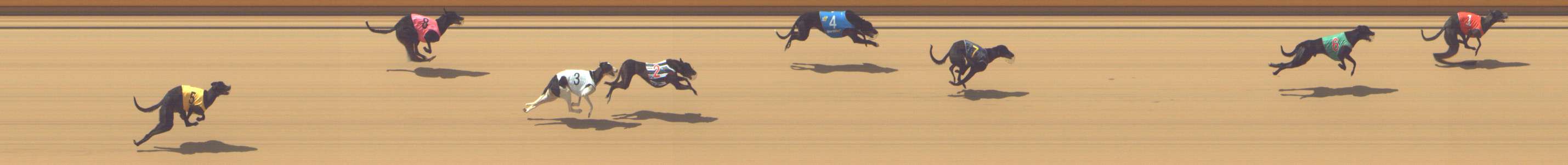 Photo finish for Shepparton Race 2
