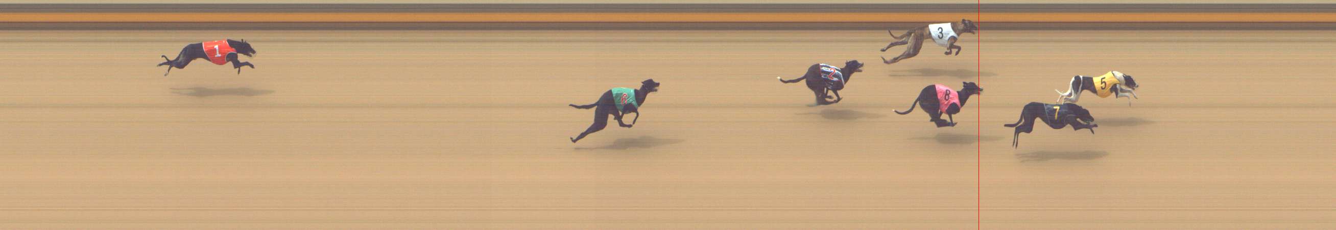 Photo finish for Shepparton Race 3