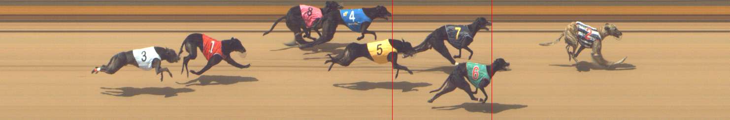 Photo finish for Shepparton Race 5