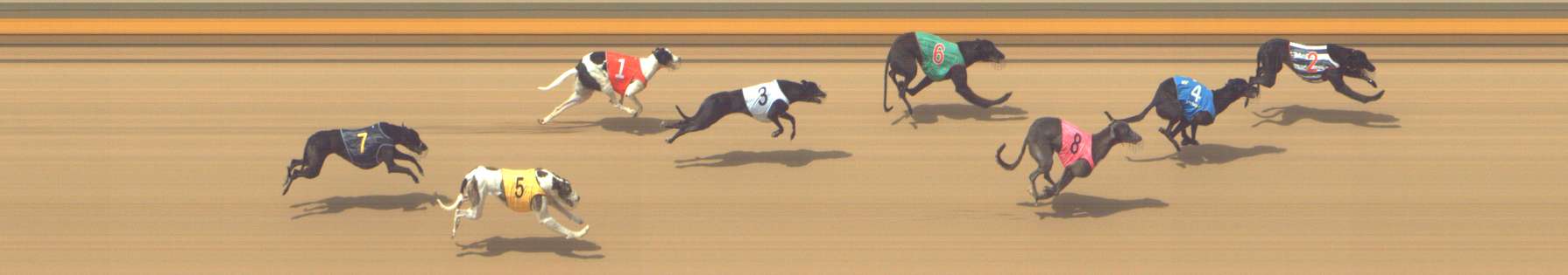 Photo finish for Shepparton Race 7