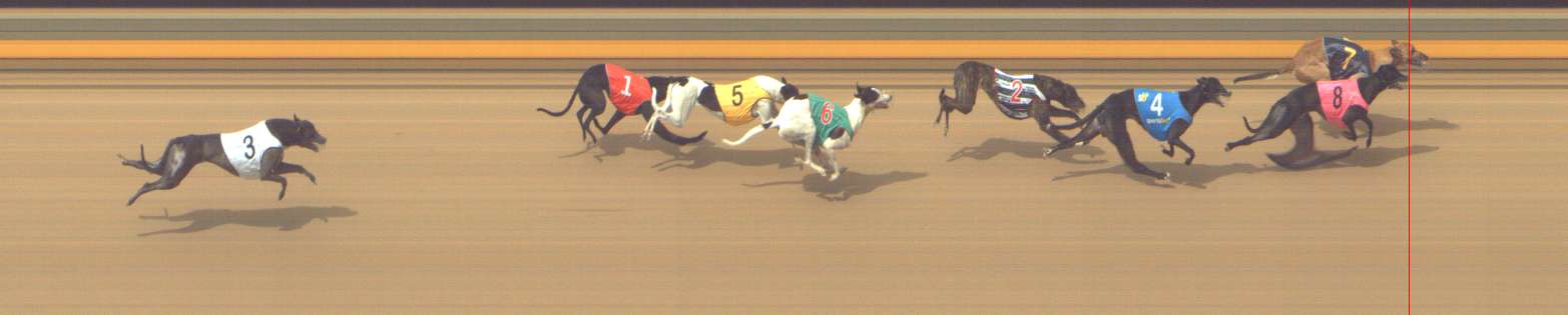 Photo finish for Shepparton Race 8
