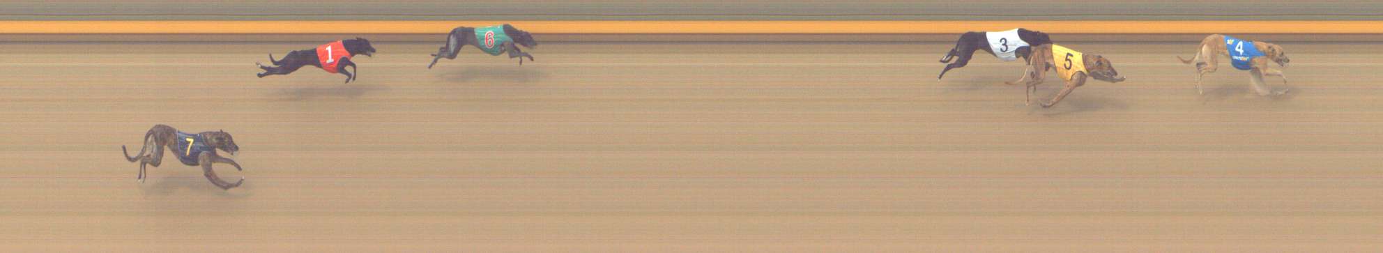 Photo finish for Shepparton Race 9