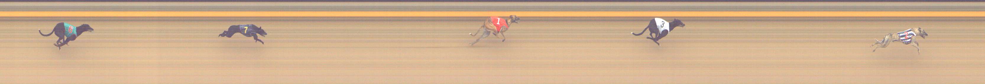 Photo finish for Shepparton Race 1