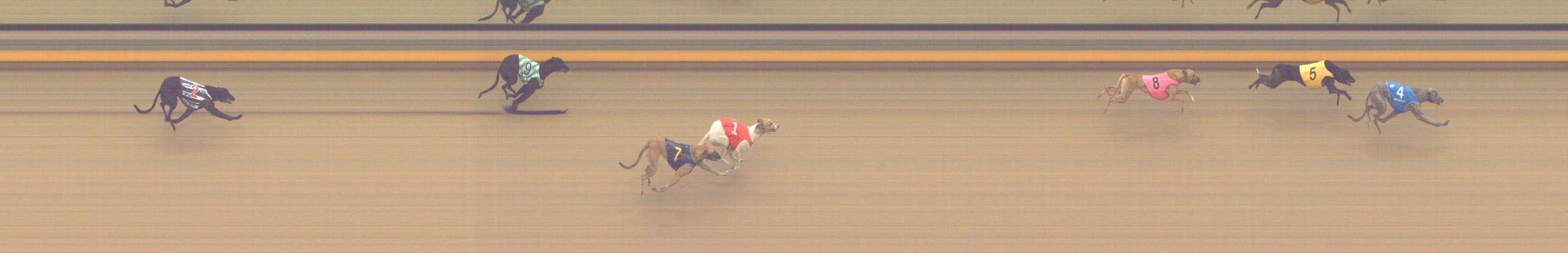 Photo finish for Shepparton Race 2