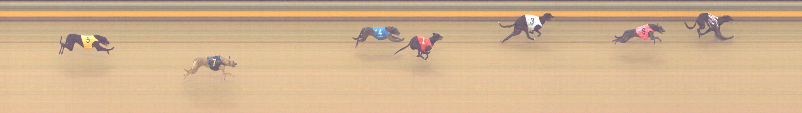 Photo finish for Shepparton Race 3