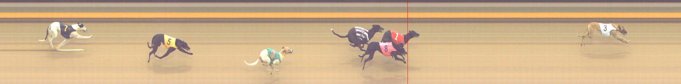 Photo finish for Shepparton Race 4
