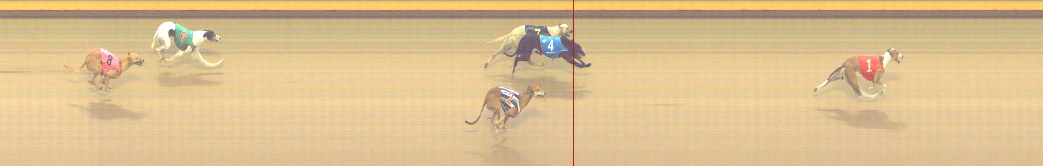 Photo finish for Shepparton Race 5