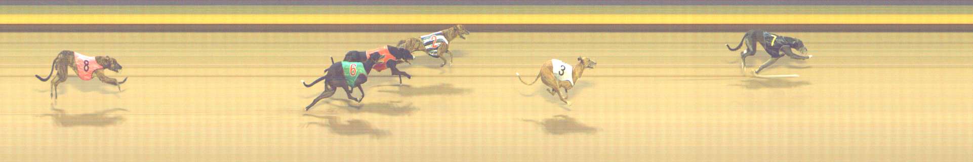 Photo finish for Shepparton Race 6