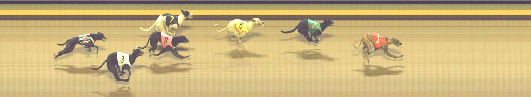 Photo finish for Shepparton Race 8