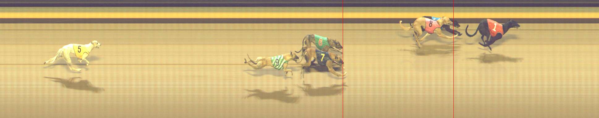 Photo finish for Shepparton Race 9