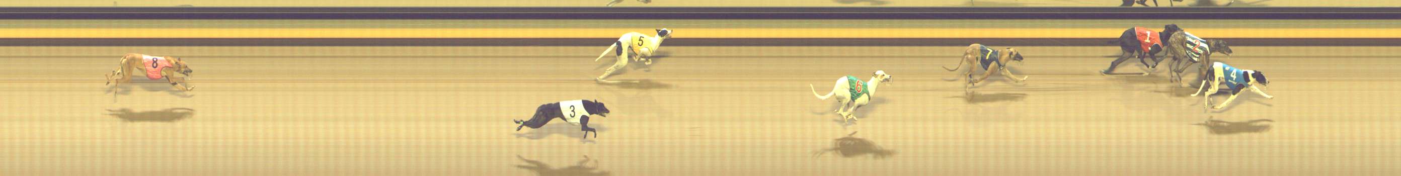 Photo finish for Shepparton Race 10