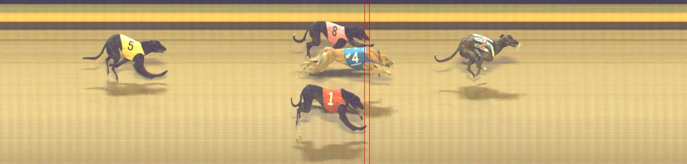 Photo finish for Shepparton Race 11