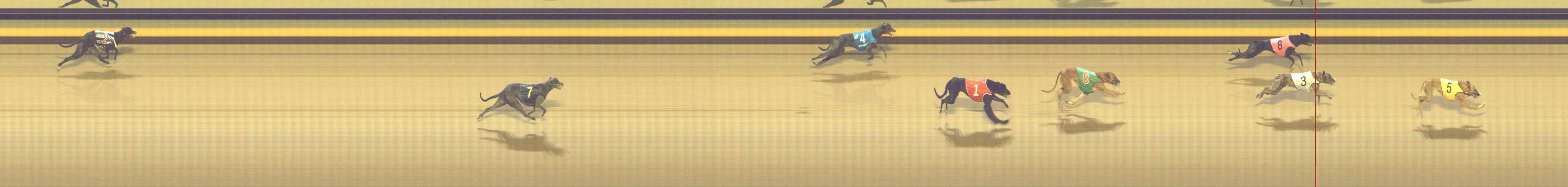 Photo finish for Shepparton Race 12