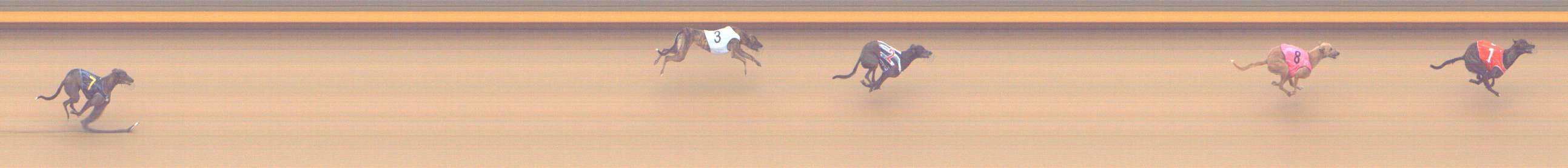 Photo finish for Shepparton Race 1