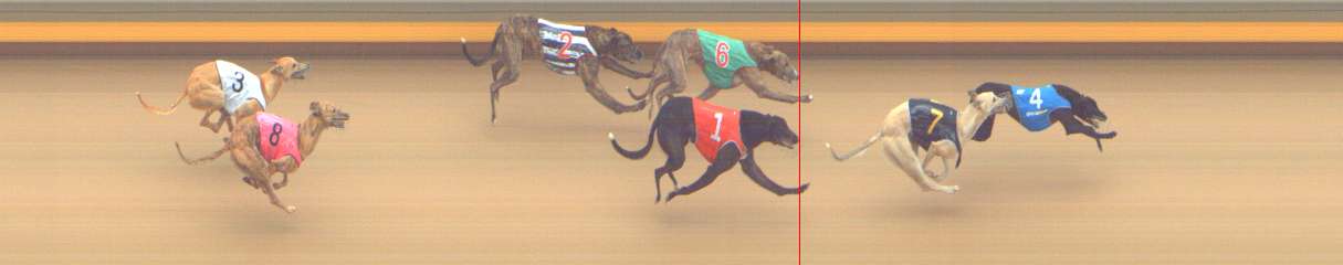 Photo finish for Shepparton Race 2