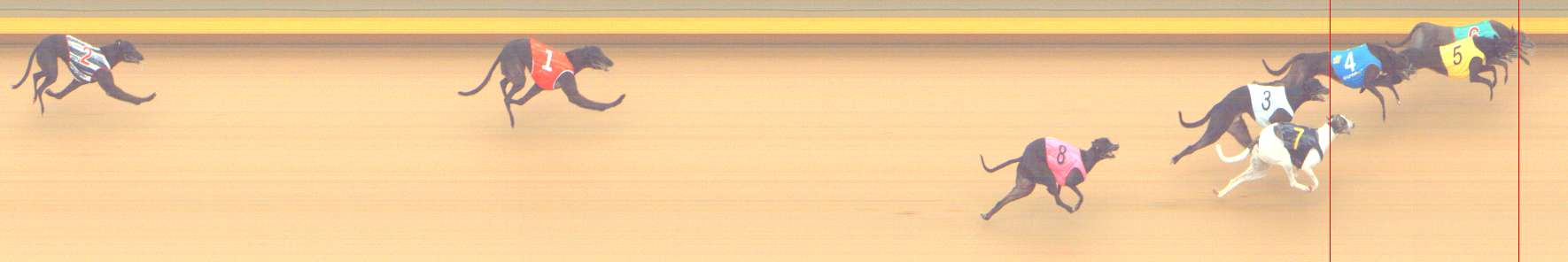 Photo finish for Shepparton Race 3