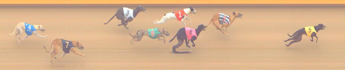 Photo finish for Shepparton Race 5