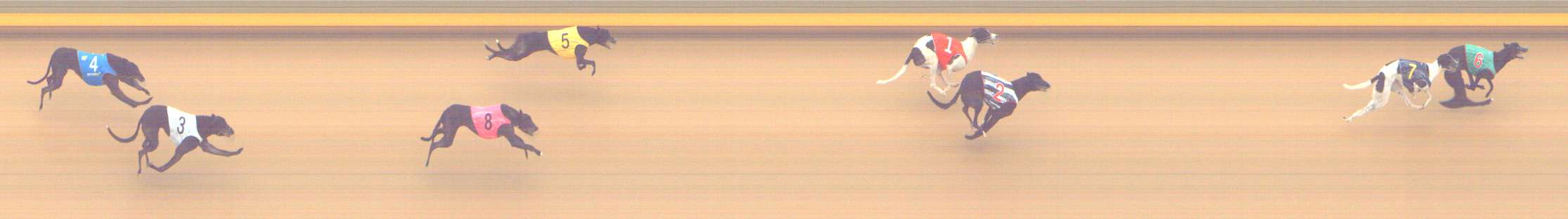 Photo finish for Shepparton Race 6