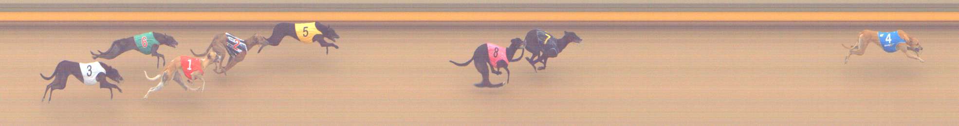 Photo finish for Shepparton Race 7