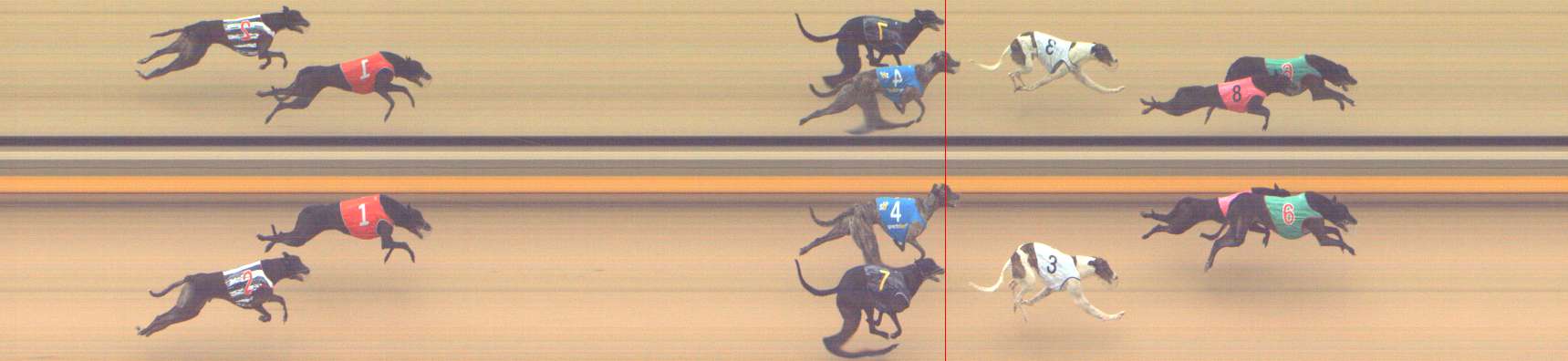 Photo finish for Shepparton Race 8