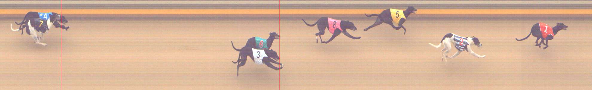 Photo finish for Shepparton Race 9