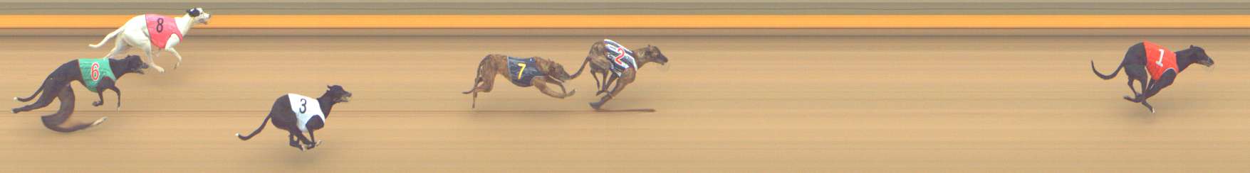 Photo finish for Shepparton Race 10