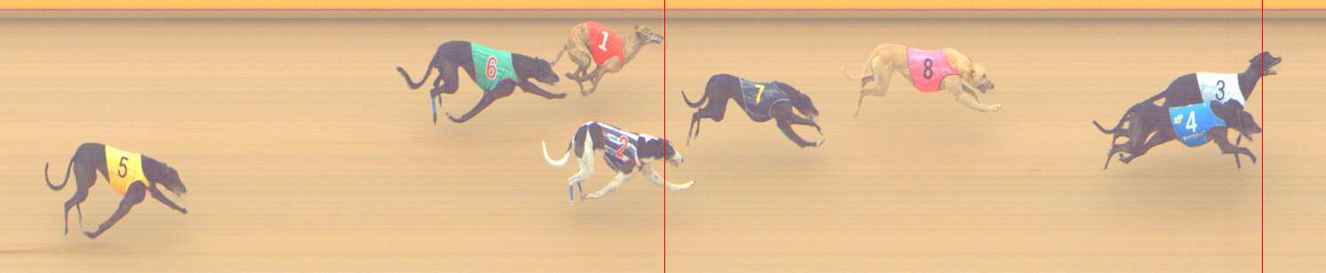 Photo finish for Shepparton Race 11