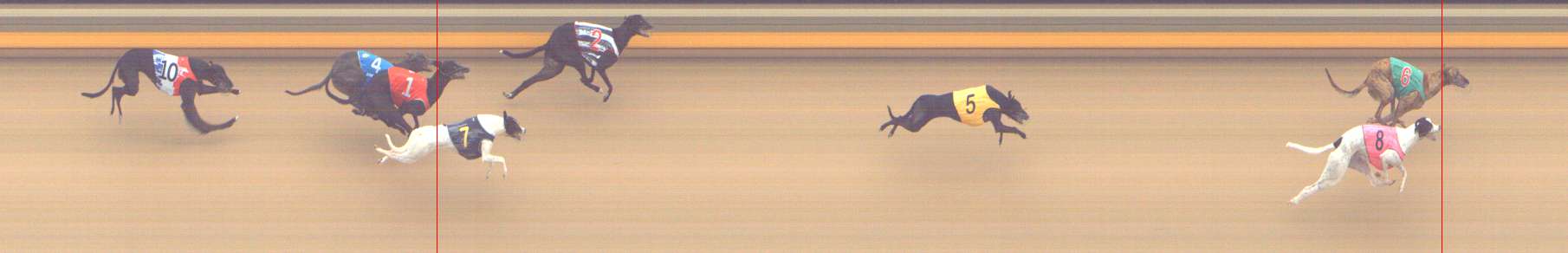 Photo finish for Shepparton Race 12