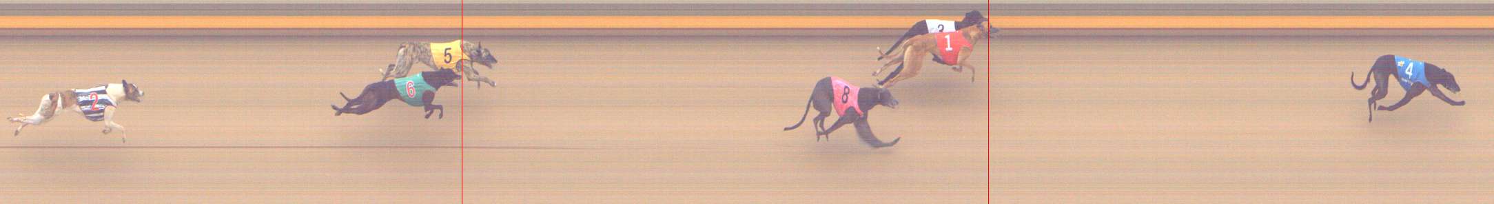 Photo finish for Shepparton Race 13