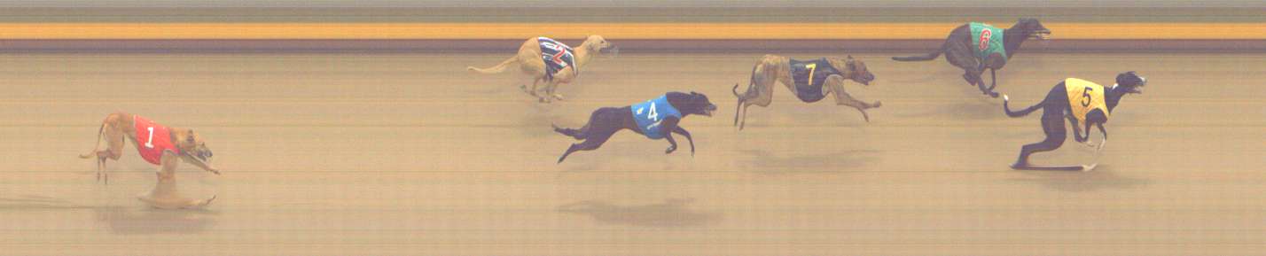 Photo finish for Shepparton Race 14