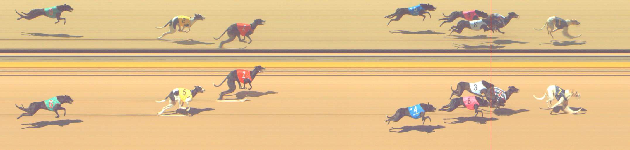 Photo finish for Shepparton Race 1