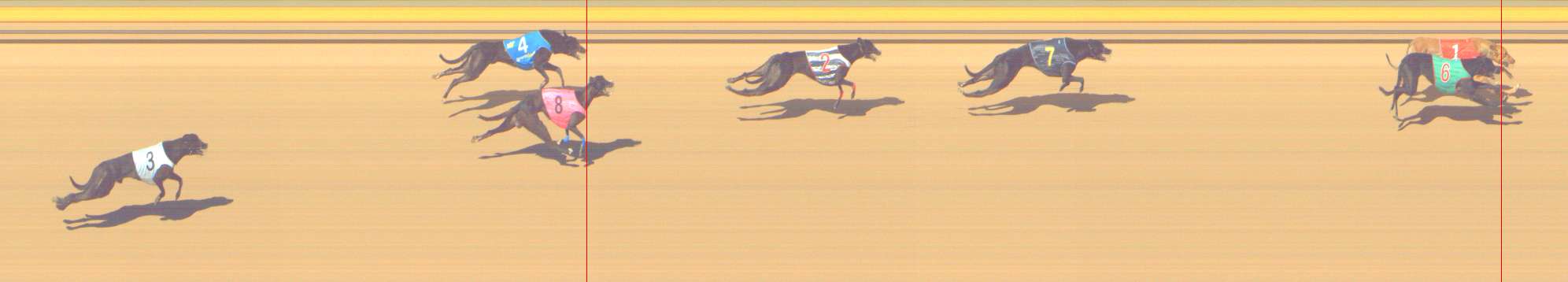 Photo finish for Shepparton Race 2