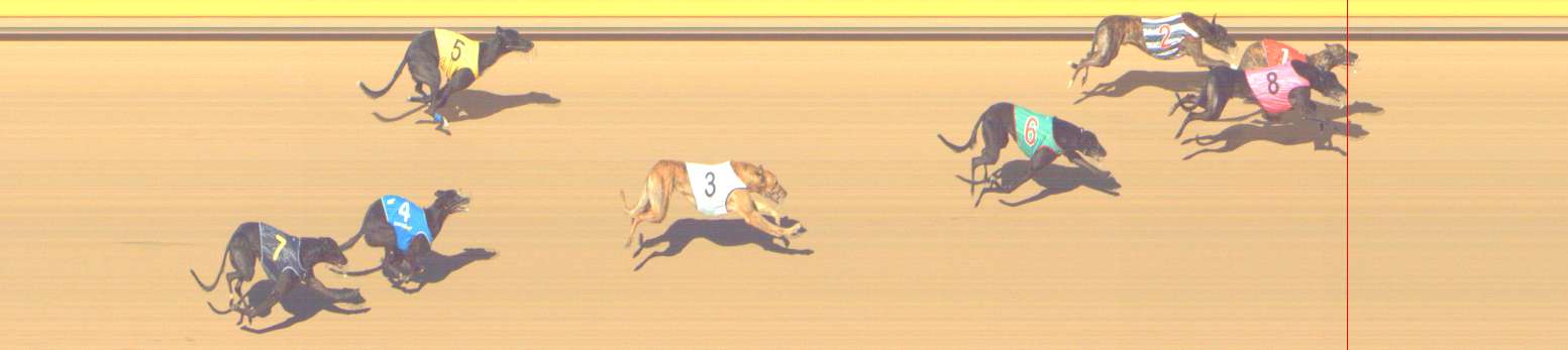 Photo finish for Shepparton Race 4
