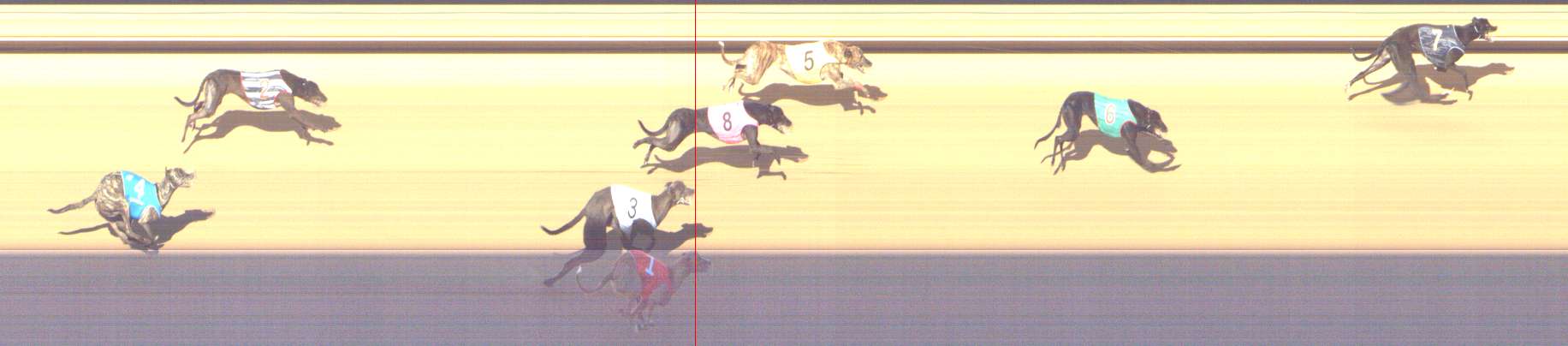 Photo finish for Shepparton Race 6