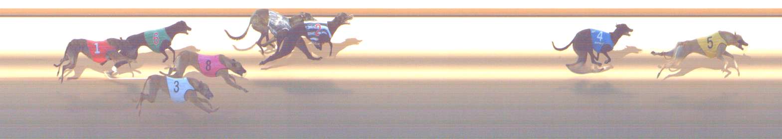 Photo finish for Shepparton Race 7