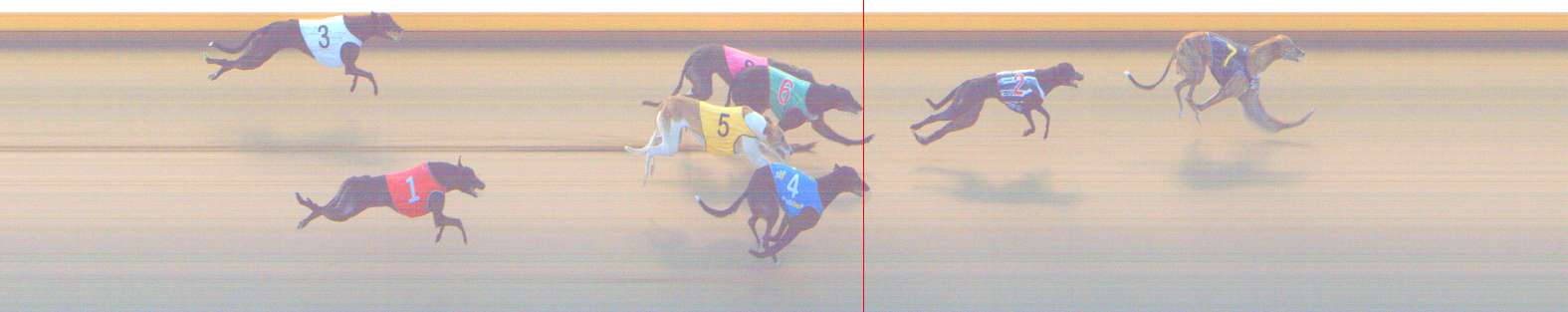 Photo finish for Shepparton Race 8