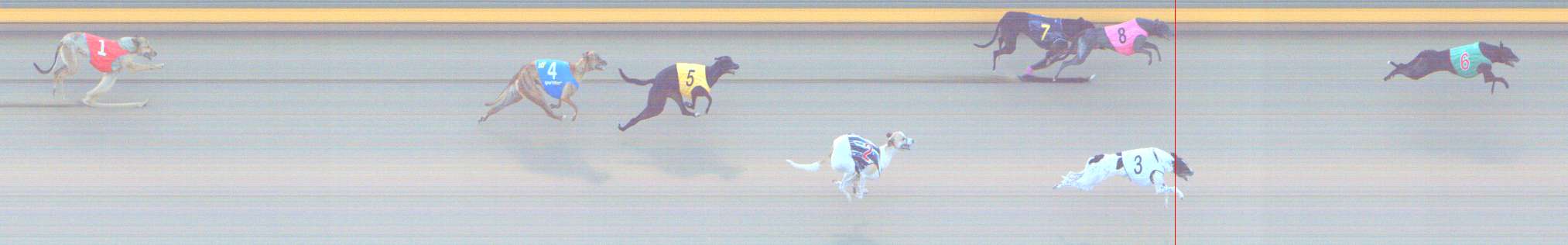 Photo finish for Shepparton Race 9