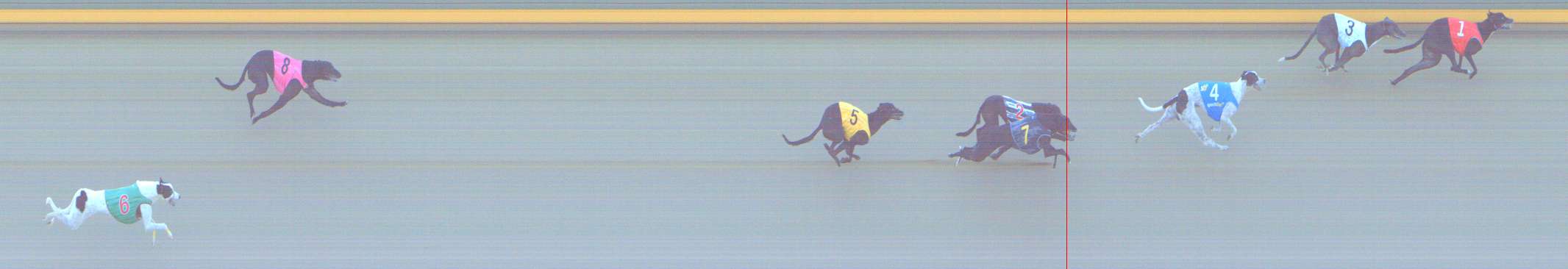 Photo finish for Shepparton Race 10
