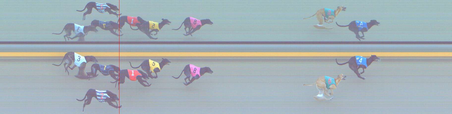 Photo finish for Shepparton Race 11