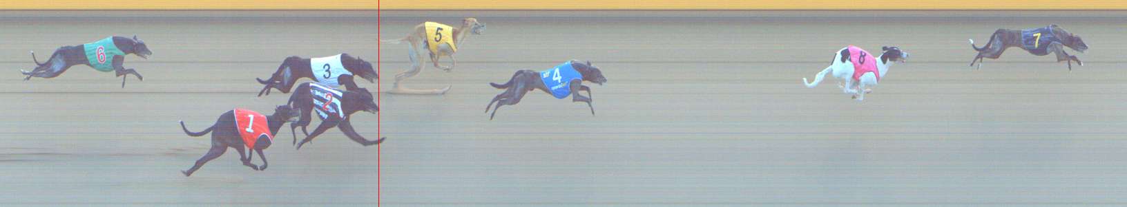 Photo finish for Shepparton Race 13