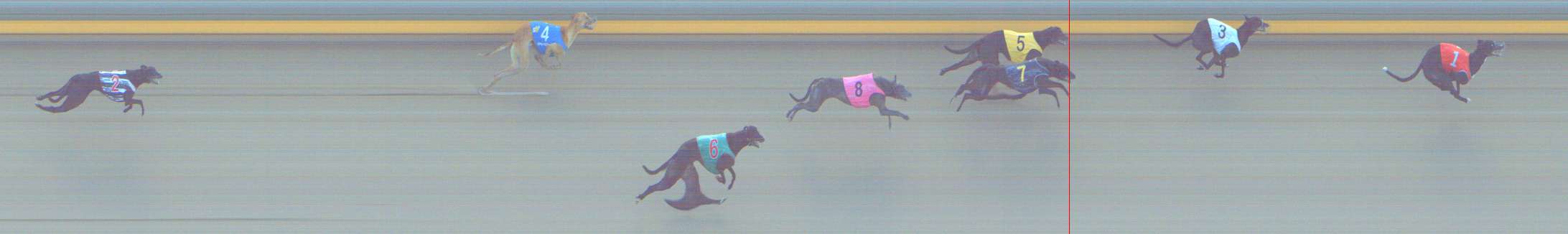 Photo finish for Shepparton Race 14