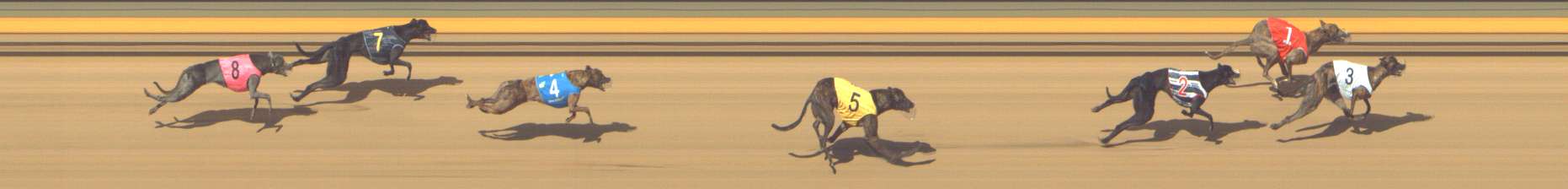 Photo finish for Shepparton Race 2