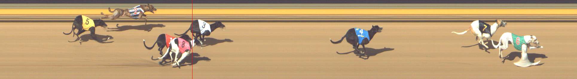 Photo finish for Shepparton Race 3